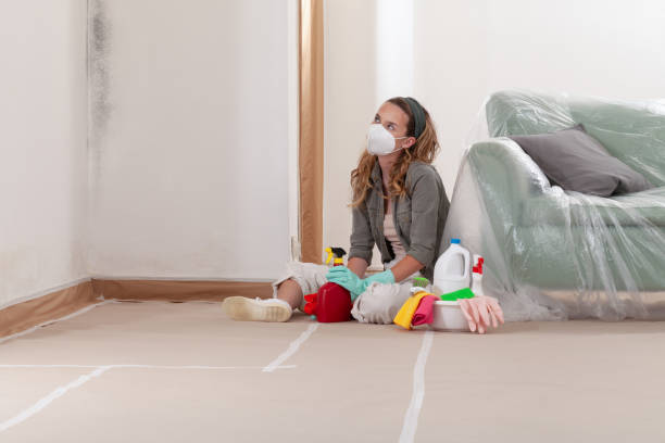 Reliable Commercial Mold Remediation contractor in Ridgefield, NJ by Car Mold Remediation